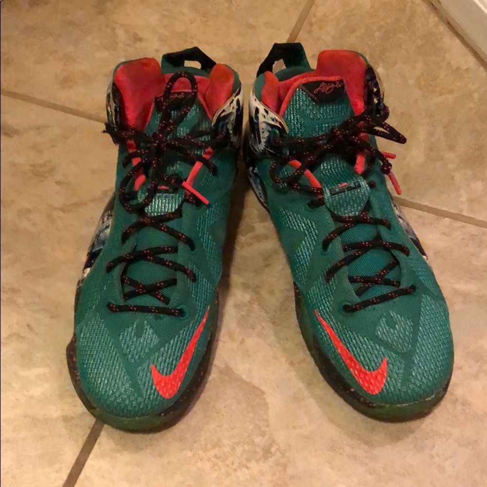 Lebron 12 Special Addition. Size 7Y